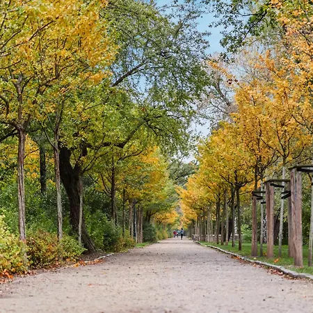 Apartman Edler Wohnraum Schwanenteich-penthouse Mit Garage, Grill, Kaffeevollautomat, Klima, Lift & Terrasse