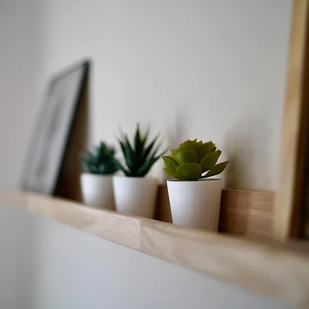 Apartman Edler Wohnraum Schwanenteich-penthouse Mit Garage, Grill, Kaffeevollautomat, Klima, Lift & Terrasse