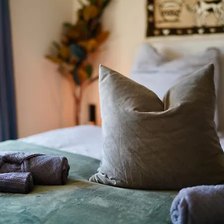 Apartman Edler Wohnraum Schwanenteich-penthouse Mit Garage, Grill, Kaffeevollautomat, Klima, Lift & Terrasse Zwickau