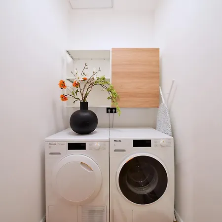 Edler Wohnraum Schwanenteich-Penthouse Mit Seeblick-Dachterrasse, Garage, Grill, Siemens-Kaffeevollautomat, Klima, Lift & Wlan 701 Mbps * Zwickau