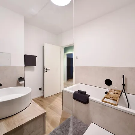 Edler Wohnraum Schwanenteich-Penthouse Mit Seeblick-Dachterrasse, Garage, Grill, Siemens-Kaffeevollautomat, Klima, Lift & Wlan 701 Mbps * Zwickau