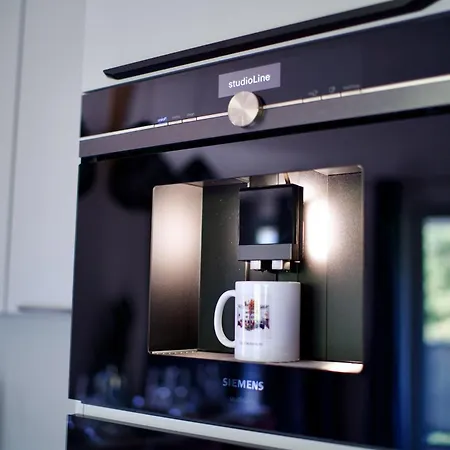 Edler Wohnraum Schwanenteich-penthouse Mit Garage, Grill, Kaffeevollautomat, Klima, Lift & Terrasse * Zwickau